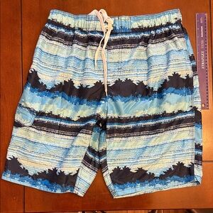 Kanu Surf Men's Blue and Black Swim Shorts